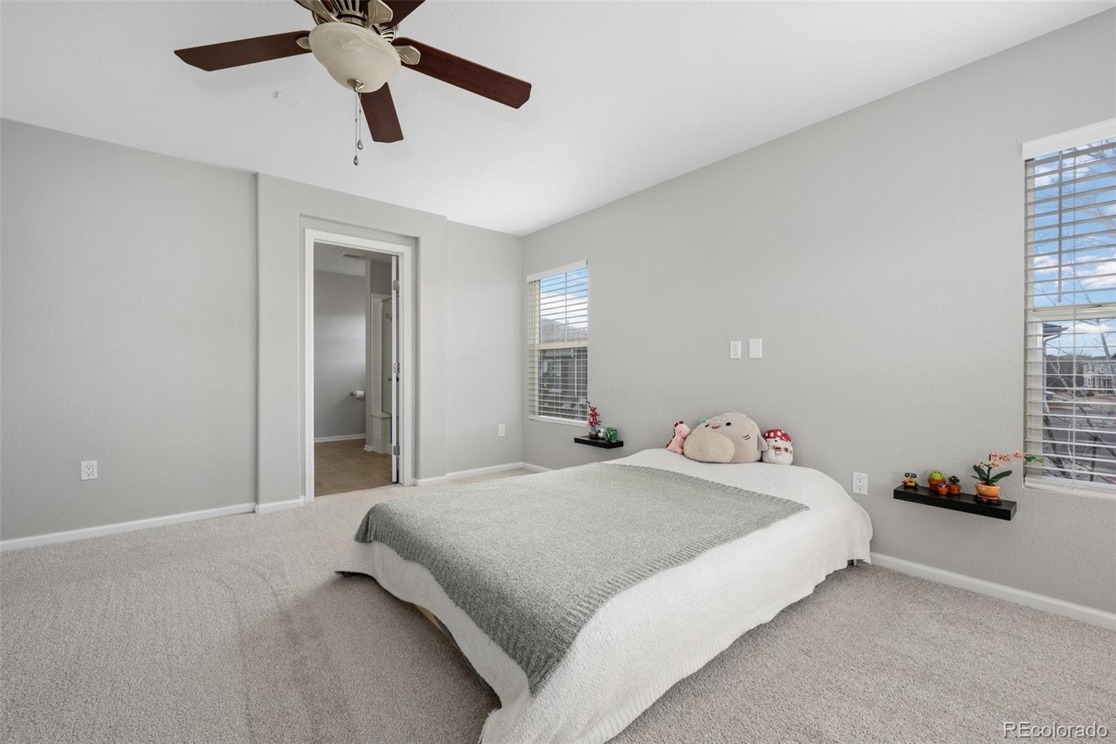 MLS Image #32 for 17148  waterhouse circle,parker, Colorado