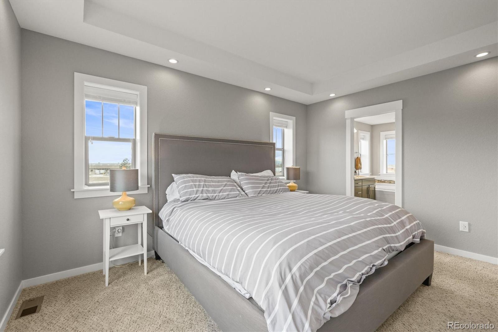 MLS Image #17 for 7903 e 50th drive,denver, Colorado