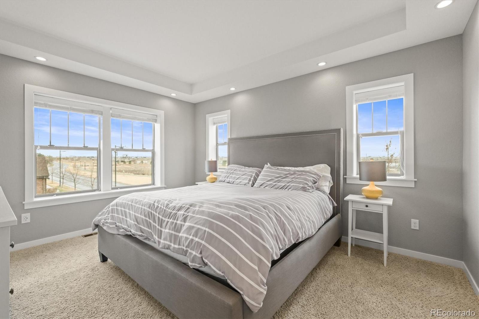 MLS Image #18 for 7903 e 50th drive,denver, Colorado