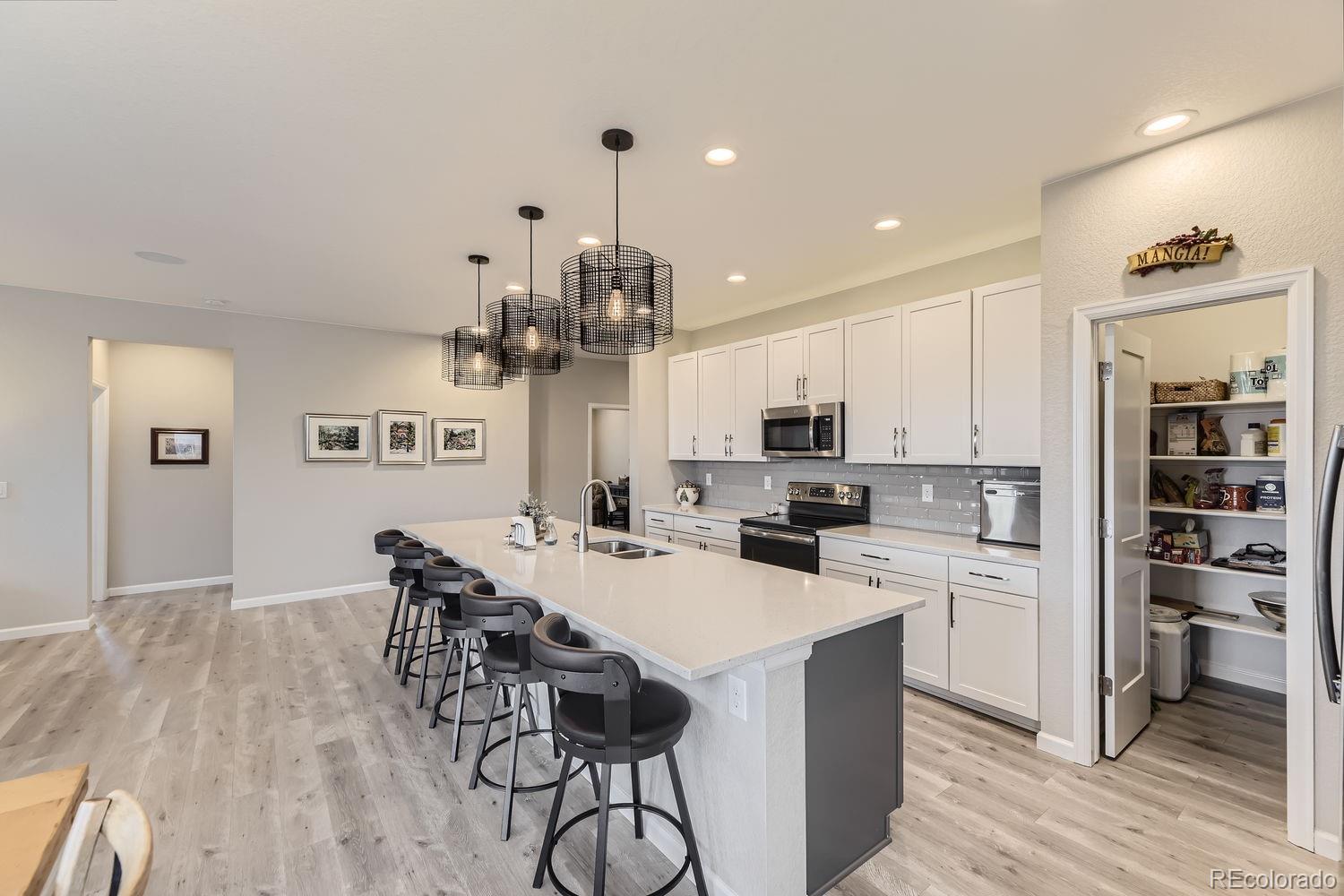 MLS Image #7 for 5775  pinto valley street,parker, Colorado