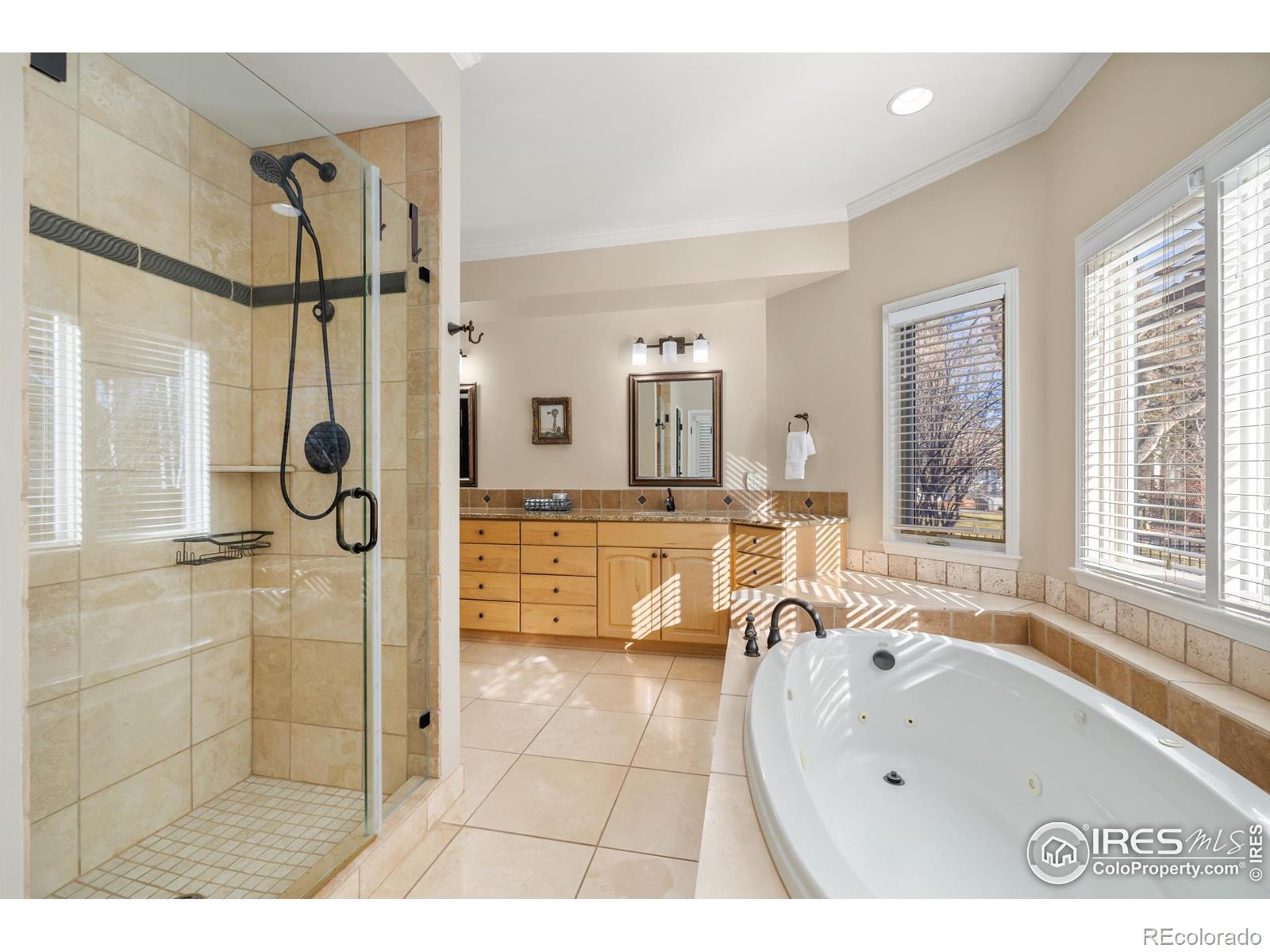 MLS Image #17 for 813  whitehall court,fort collins, Colorado