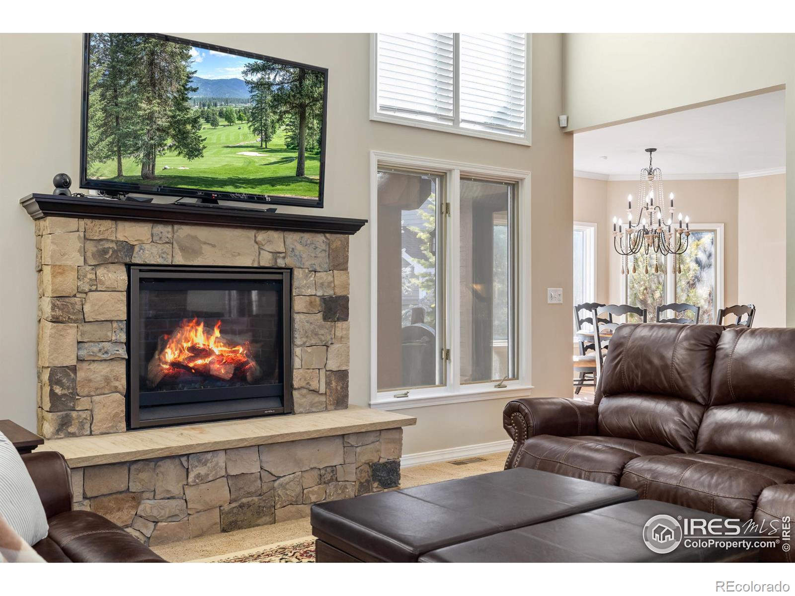 MLS Image #8 for 813  whitehall court,fort collins, Colorado