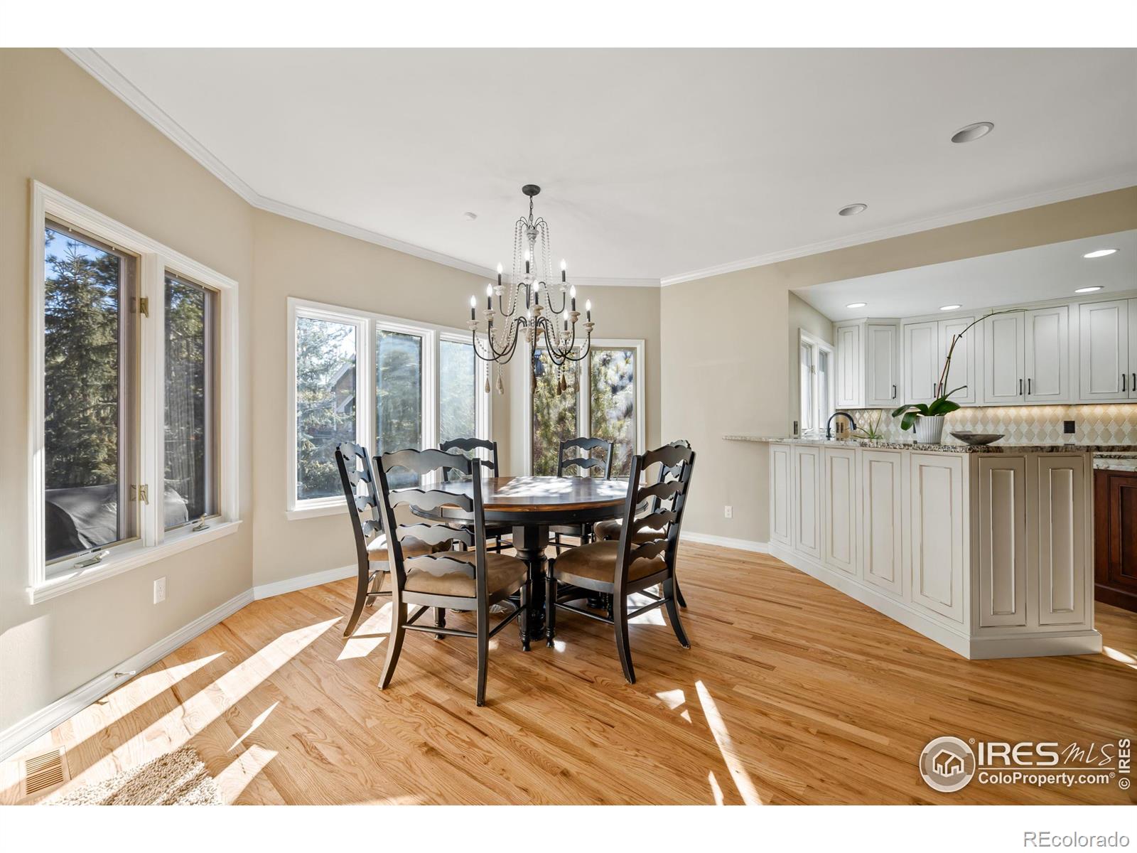 MLS Image #9 for 813  whitehall court,fort collins, Colorado