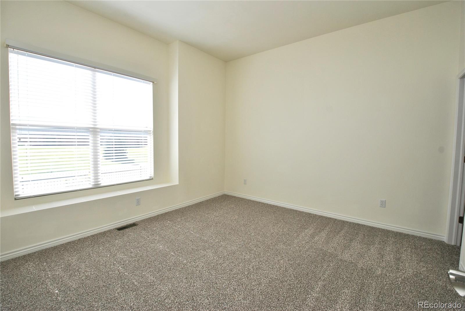 MLS Image #15 for 3447  plantation grove,colorado springs, Colorado