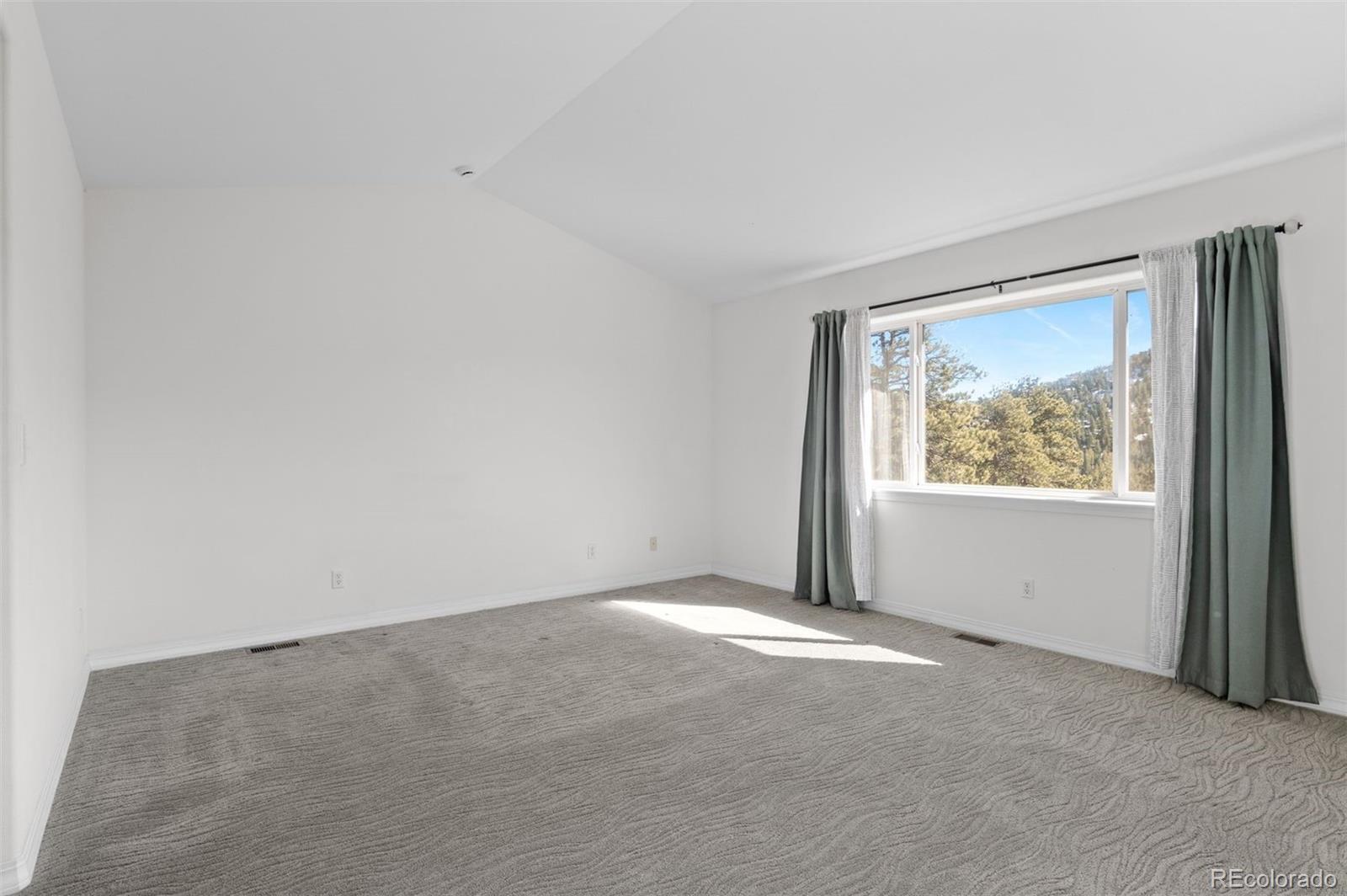 MLS Image #10 for 6904  sprucedale parkway,evergreen, Colorado