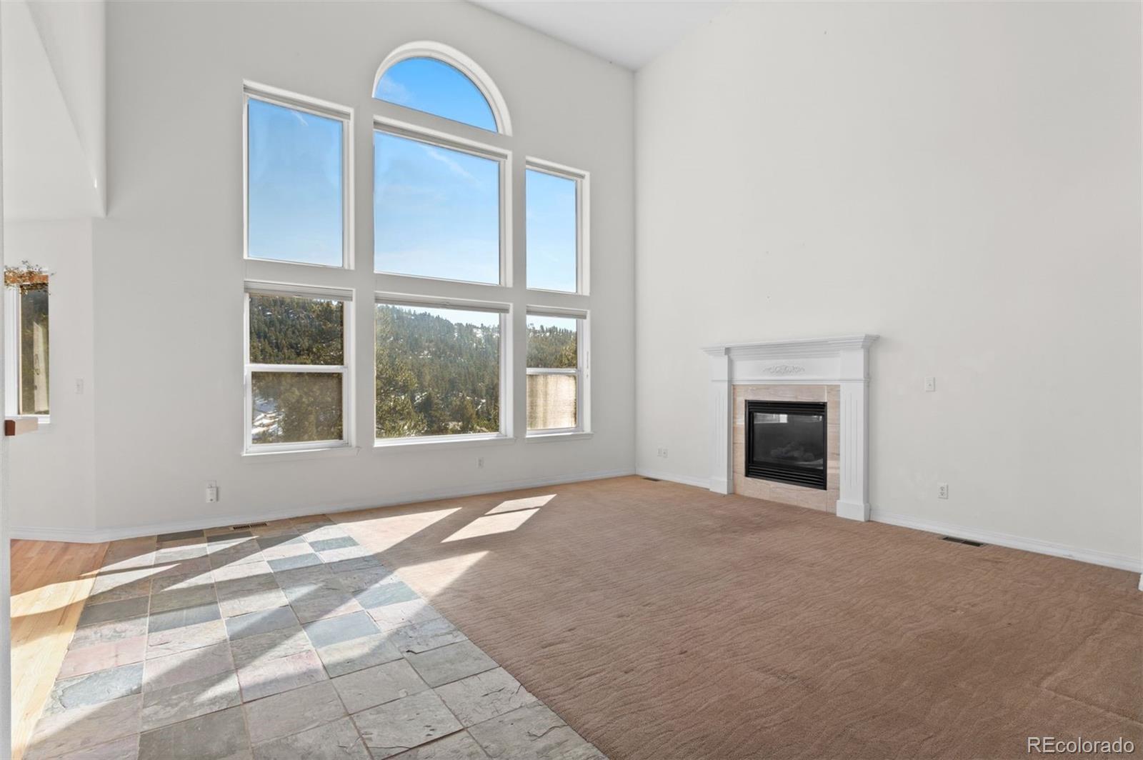 MLS Image #15 for 6904  sprucedale parkway,evergreen, Colorado