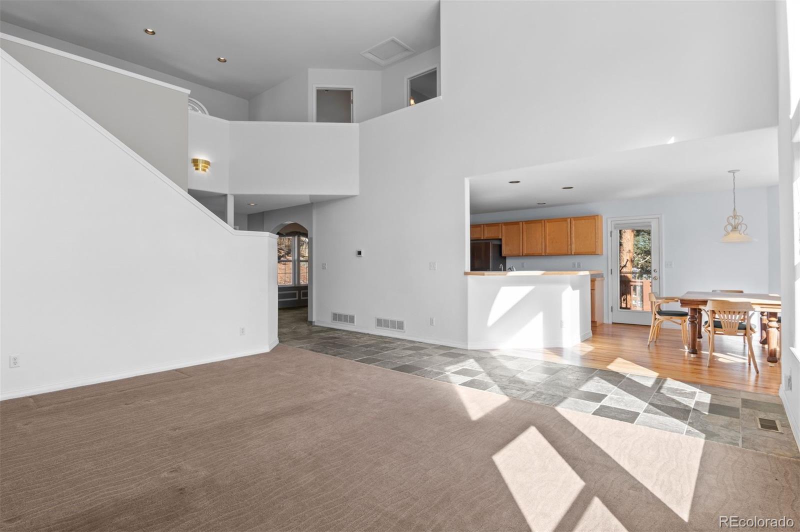 MLS Image #17 for 6904  sprucedale parkway,evergreen, Colorado