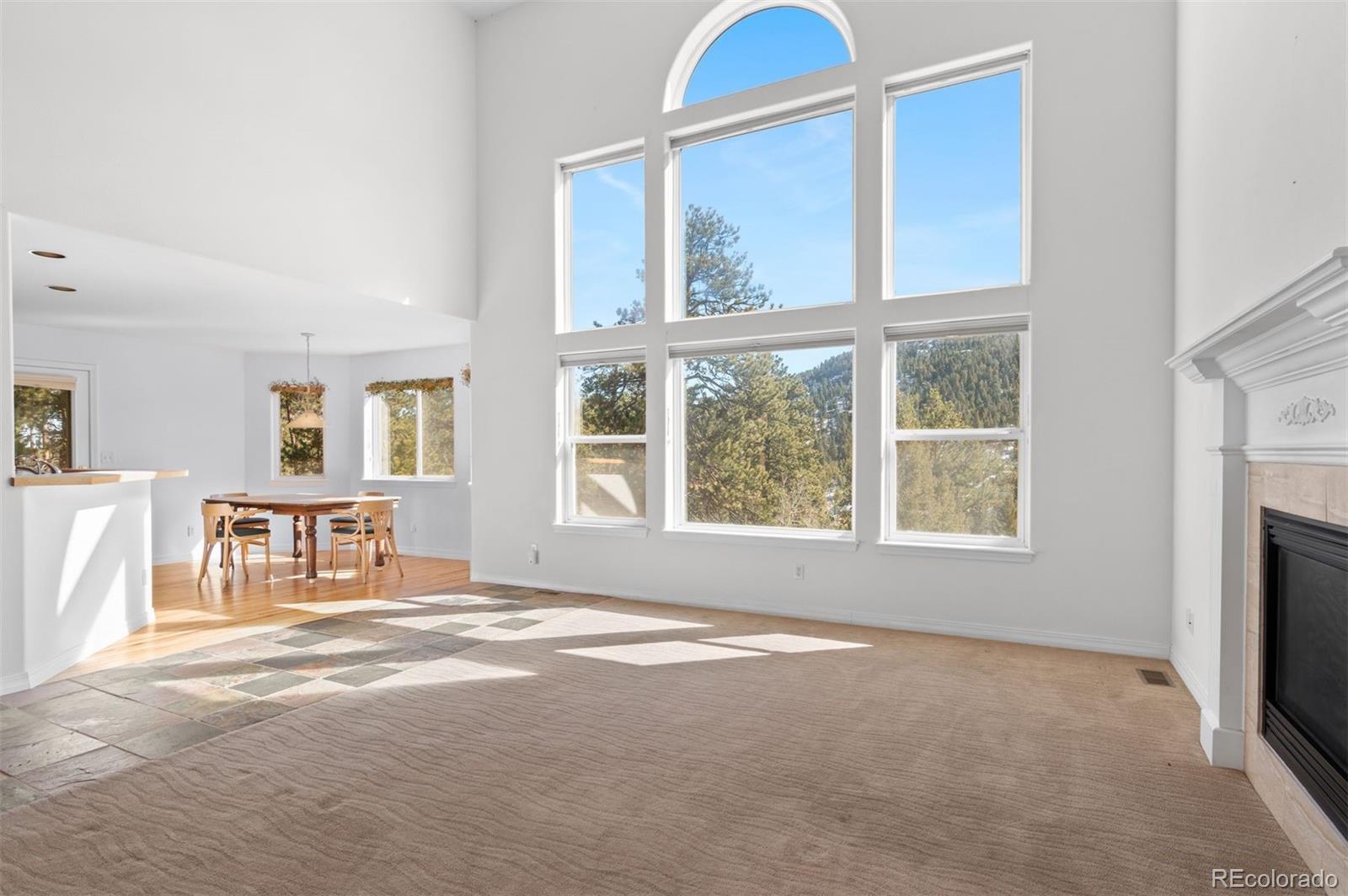 MLS Image #18 for 6904  sprucedale parkway,evergreen, Colorado