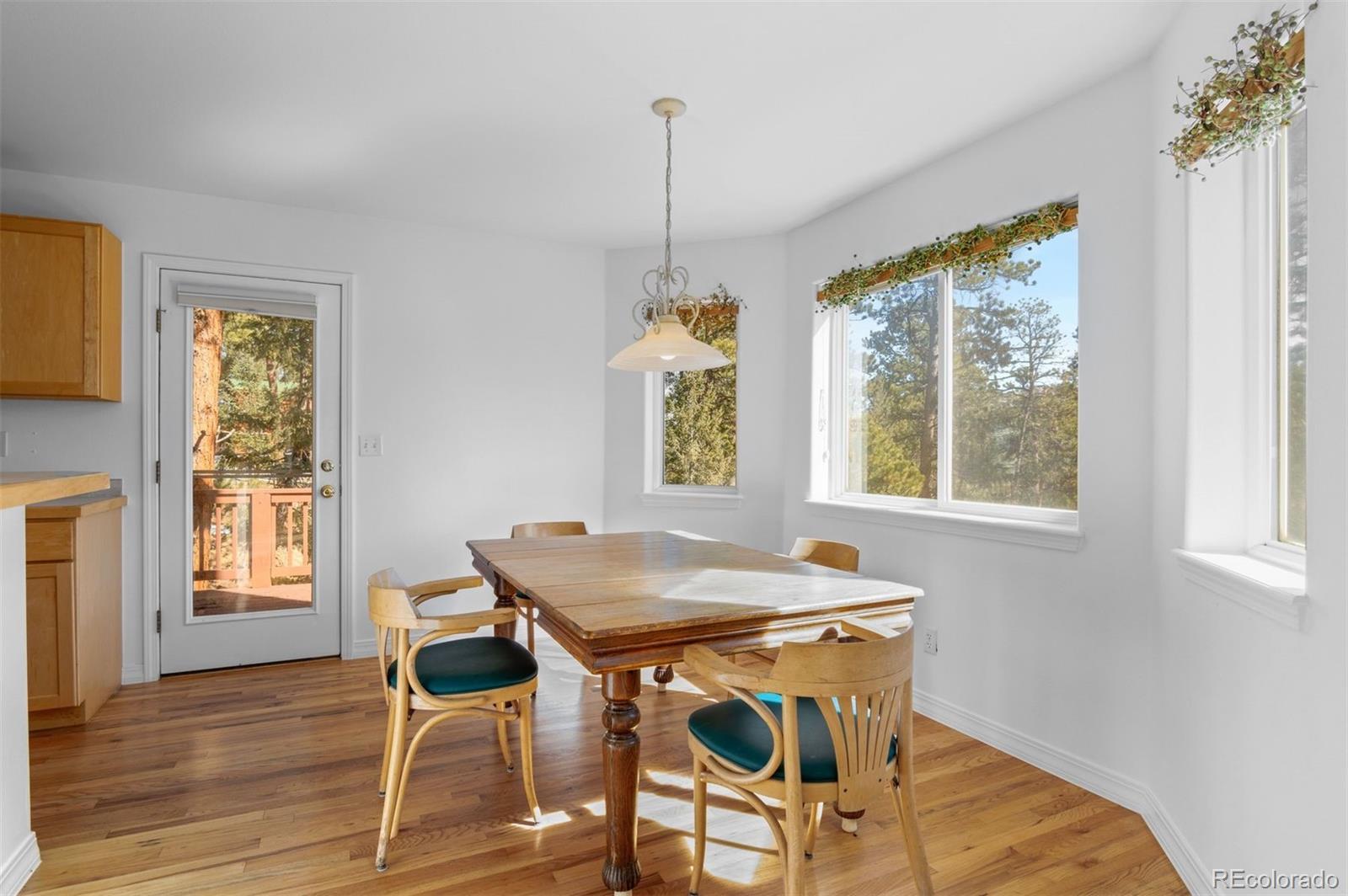 MLS Image #19 for 6904  sprucedale parkway,evergreen, Colorado