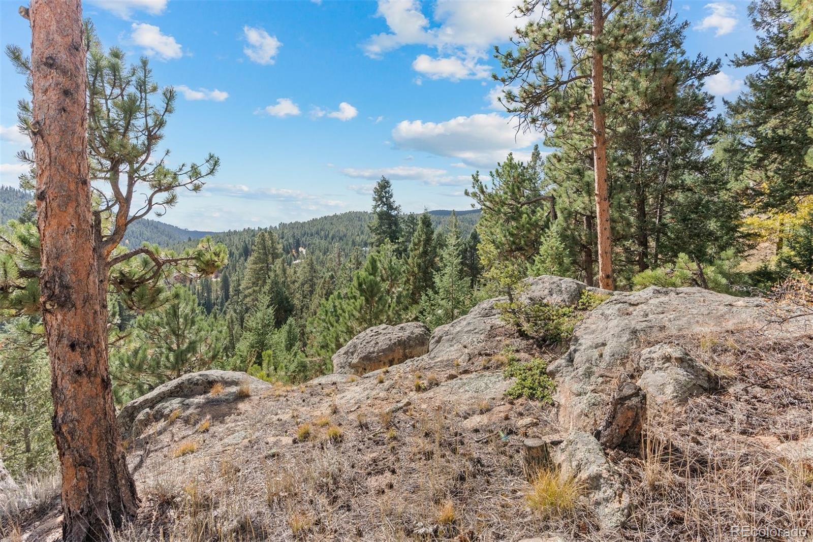 MLS Image #24 for 6904  sprucedale parkway,evergreen, Colorado