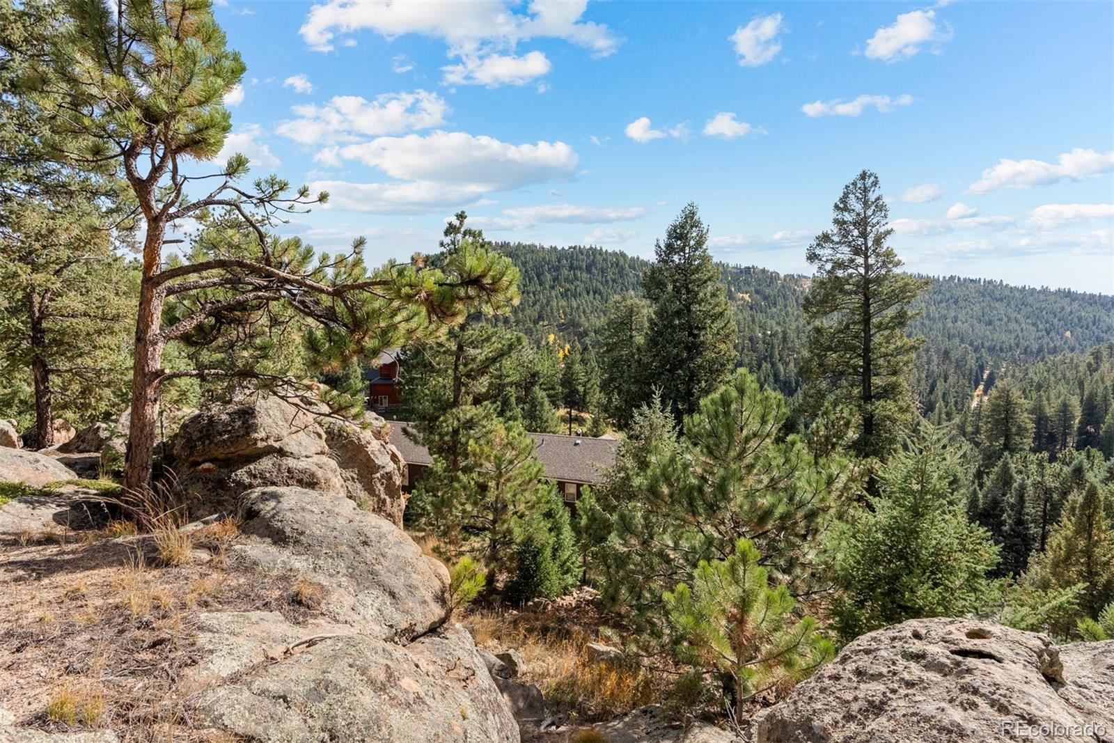 MLS Image #25 for 6904  sprucedale parkway,evergreen, Colorado