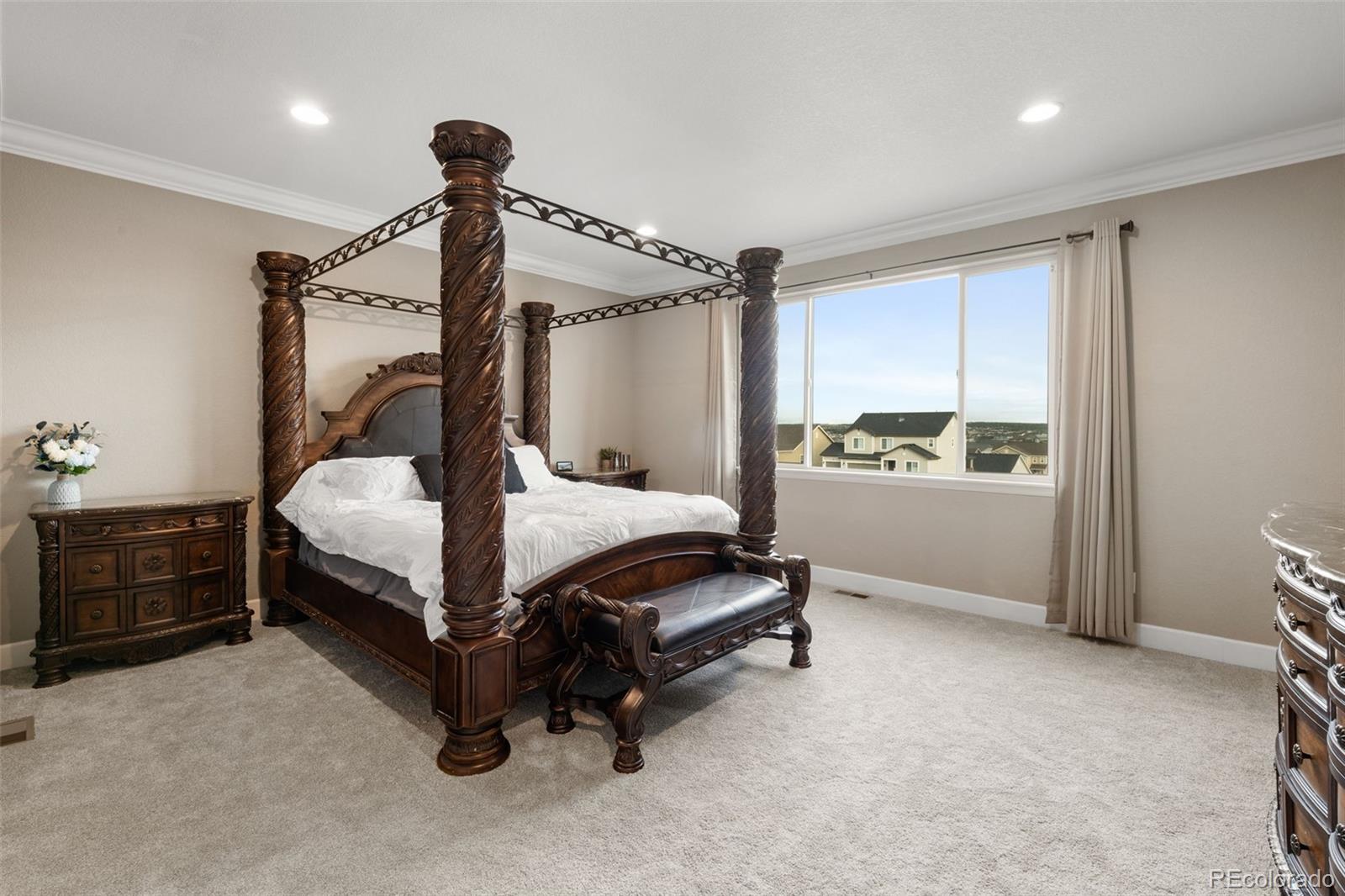 MLS Image #14 for 6766  mentha drive,castle rock, Colorado