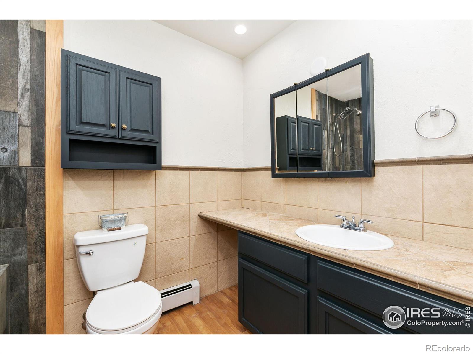 MLS Image #20 for 820  ponderosa court,eaton, Colorado