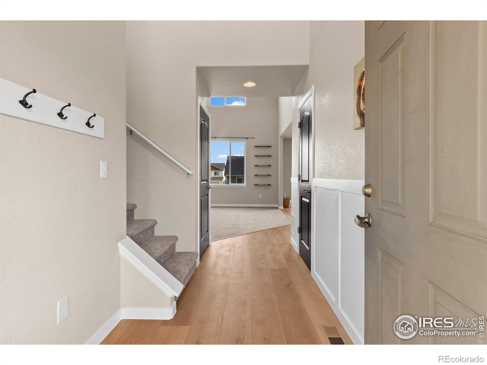 MLS Image #24 for 906  mt shavano avenue,severance, Colorado