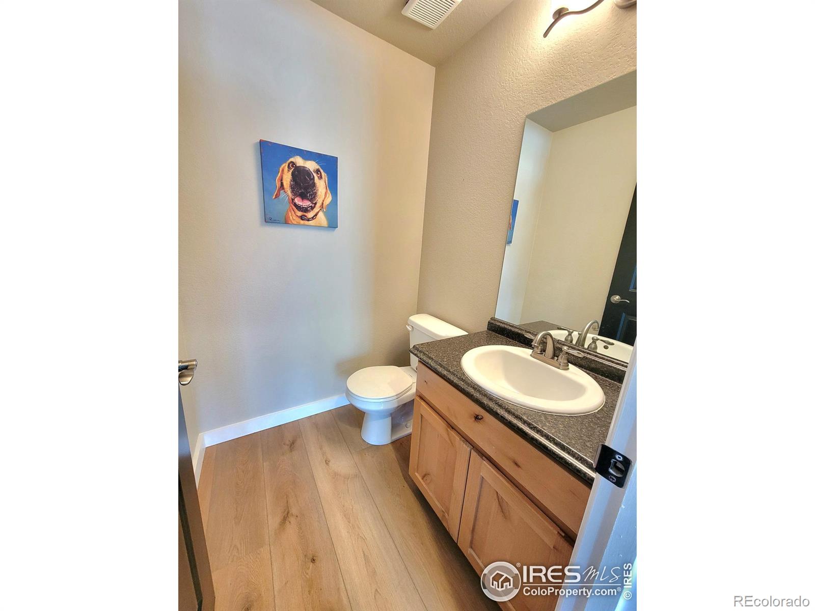 MLS Image #26 for 906  mt shavano avenue,severance, Colorado