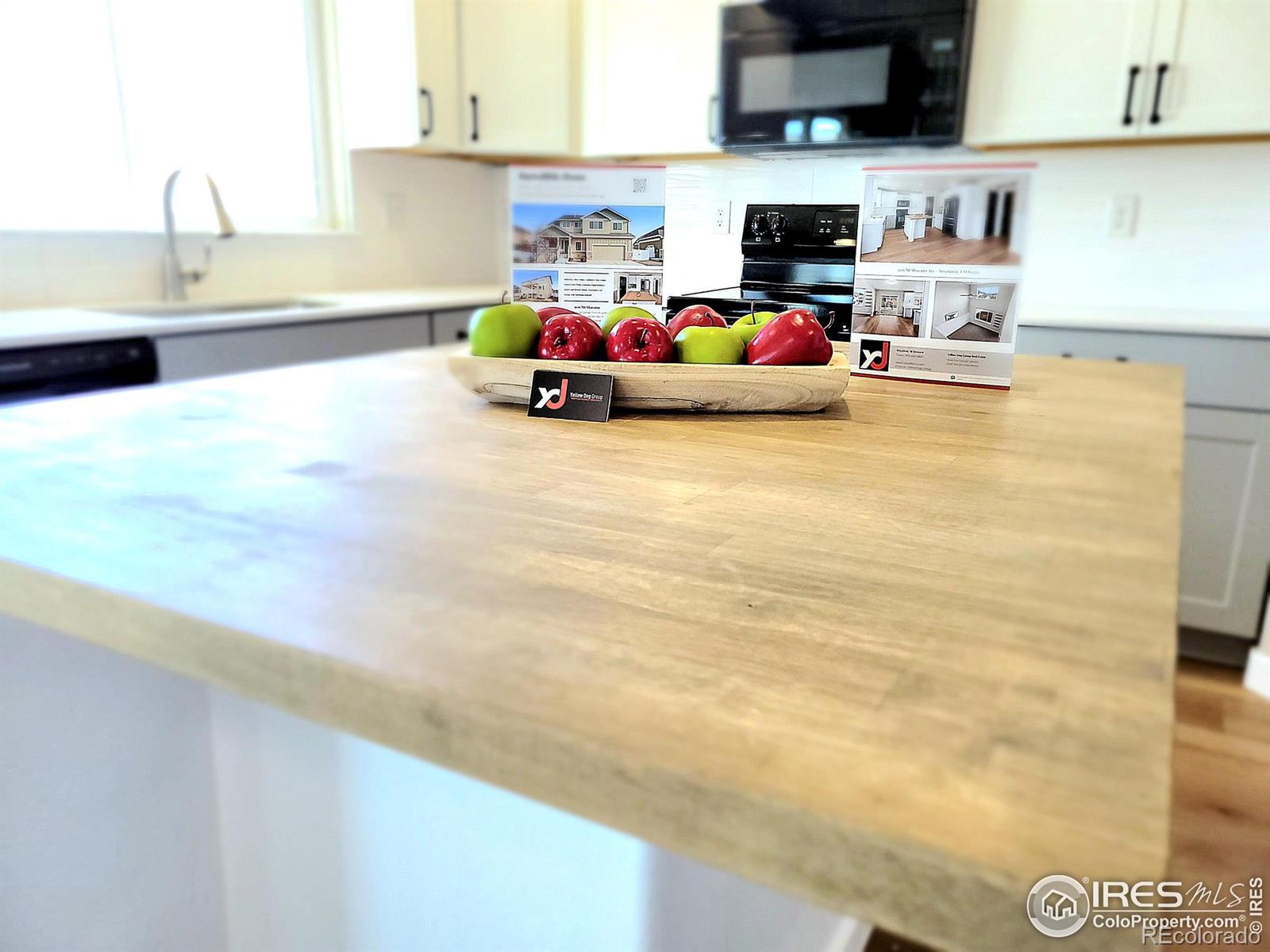 MLS Image #3 for 906  mt shavano avenue,severance, Colorado