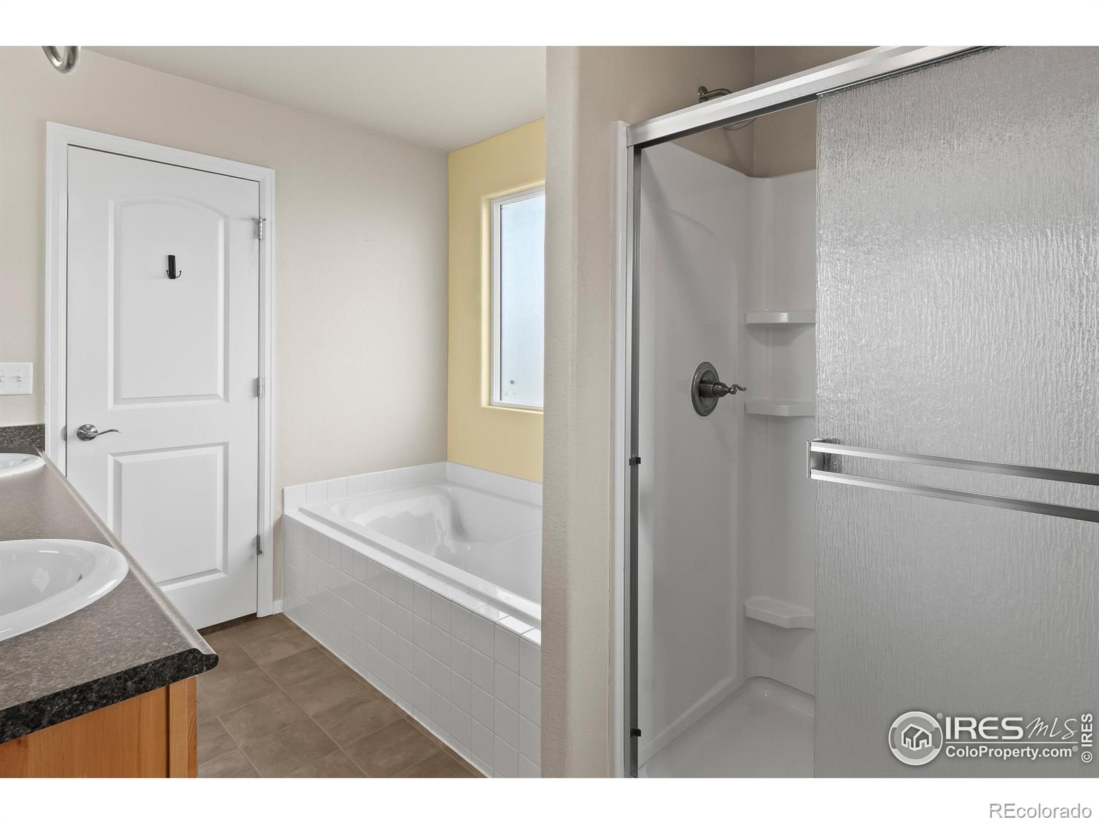 MLS Image #7 for 906  mt shavano avenue,severance, Colorado