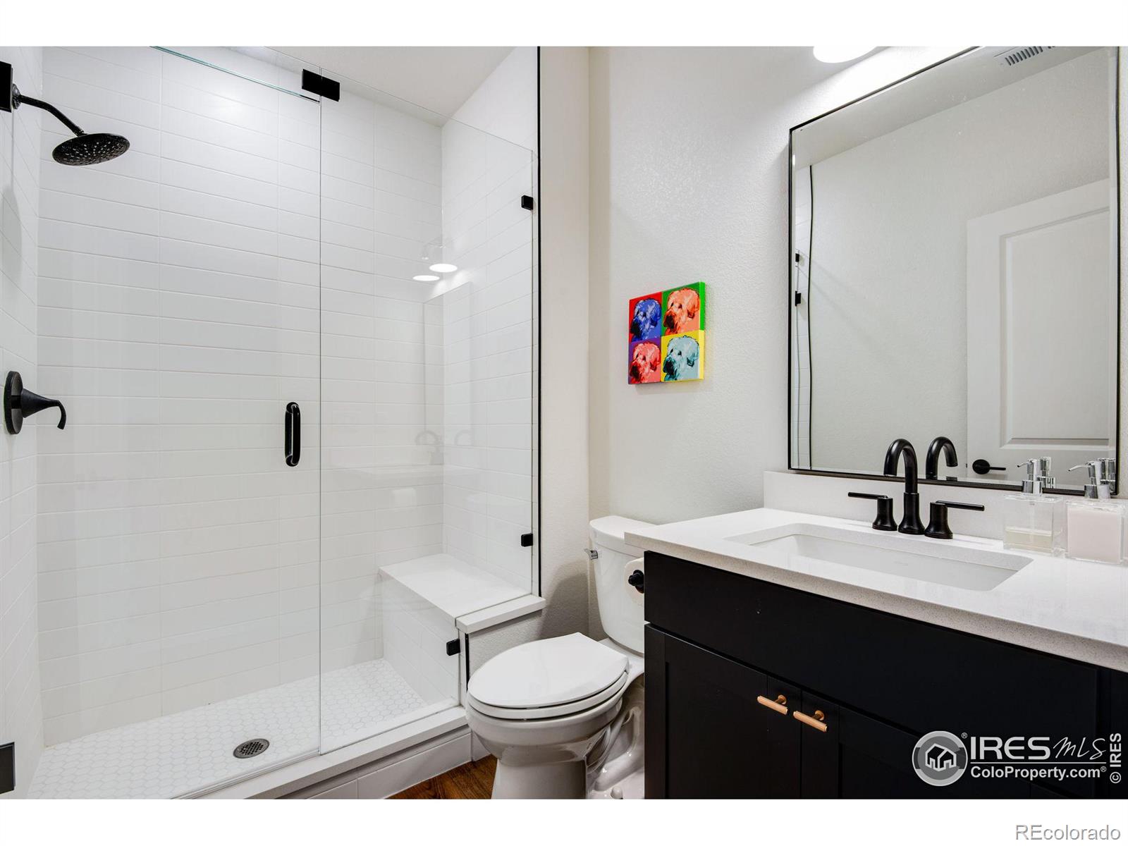 MLS Image #19 for 2342  irons street,erie, Colorado