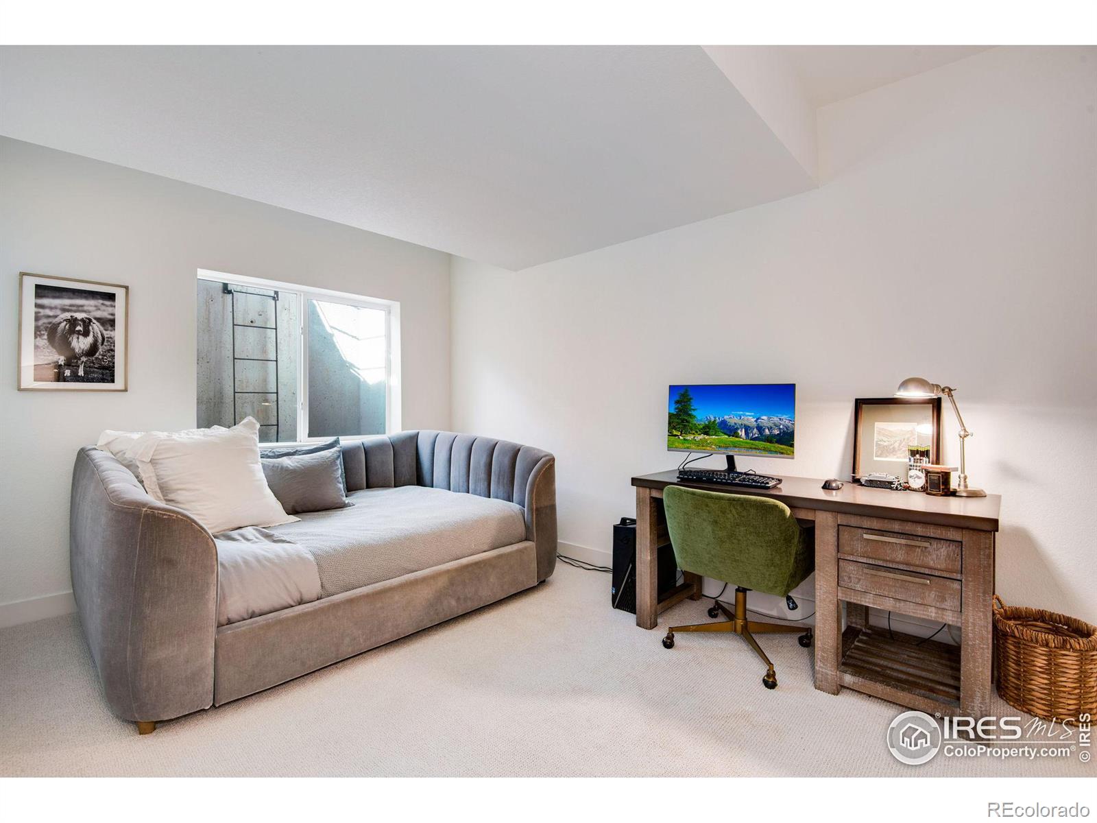 MLS Image #20 for 2342  irons street,erie, Colorado