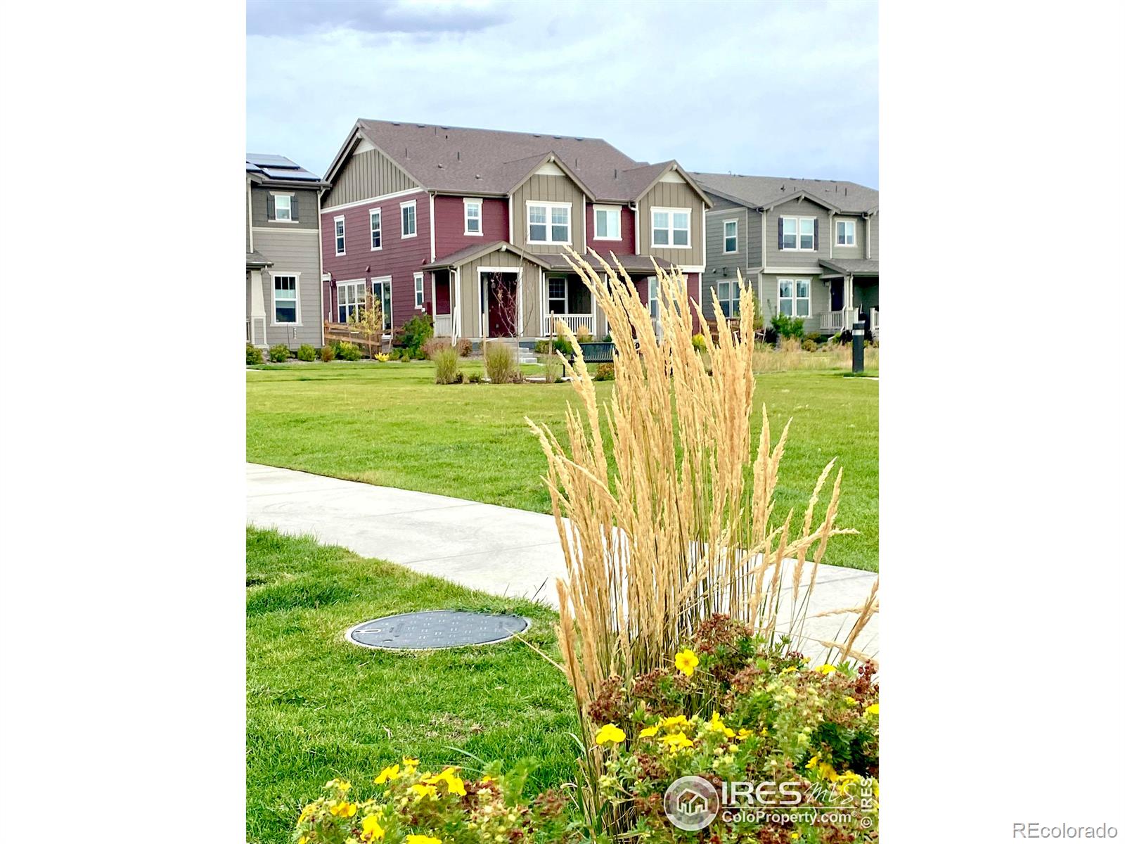 MLS Image #22 for 2342  irons street,erie, Colorado