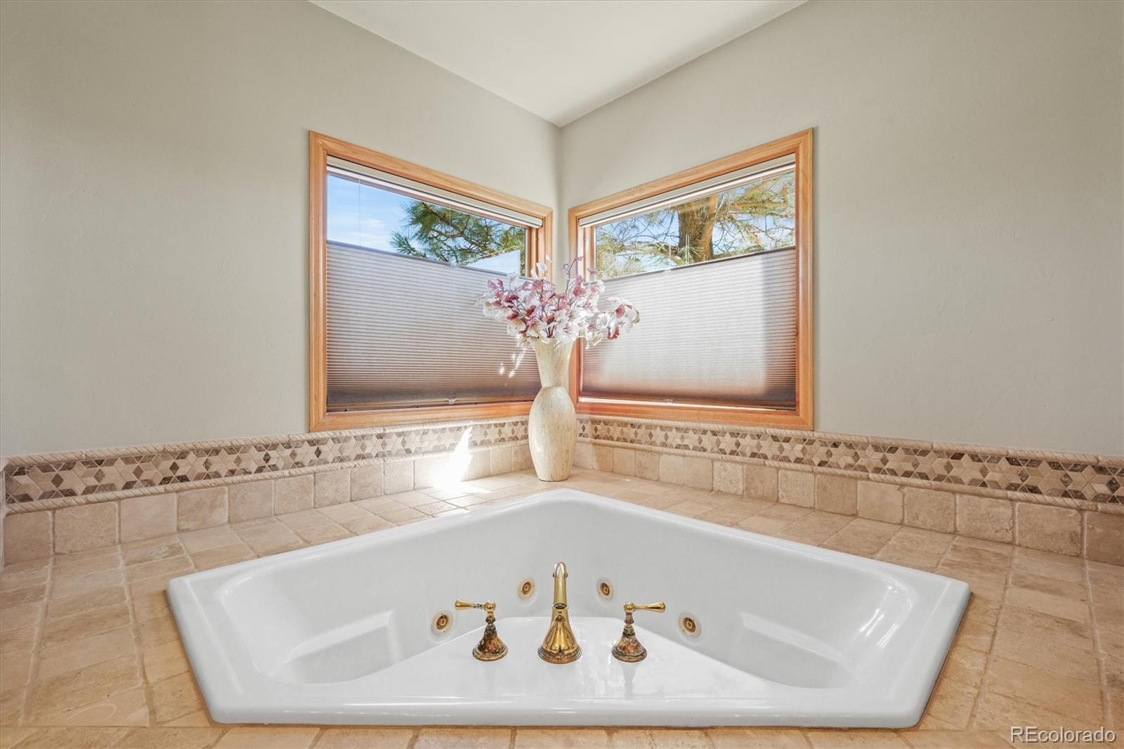 MLS Image #22 for 4  prairie falcon lane,littleton, Colorado