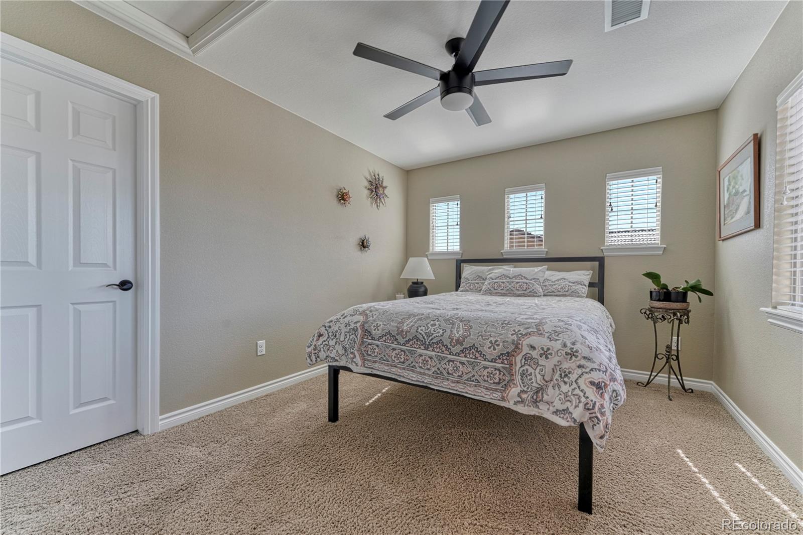 MLS Image #14 for 9274  viaggio way,highlands ranch, Colorado