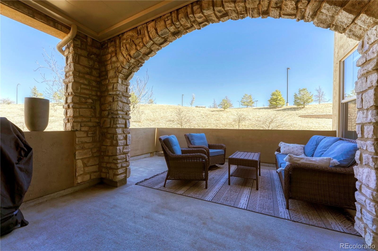 MLS Image #21 for 9274  viaggio way,highlands ranch, Colorado