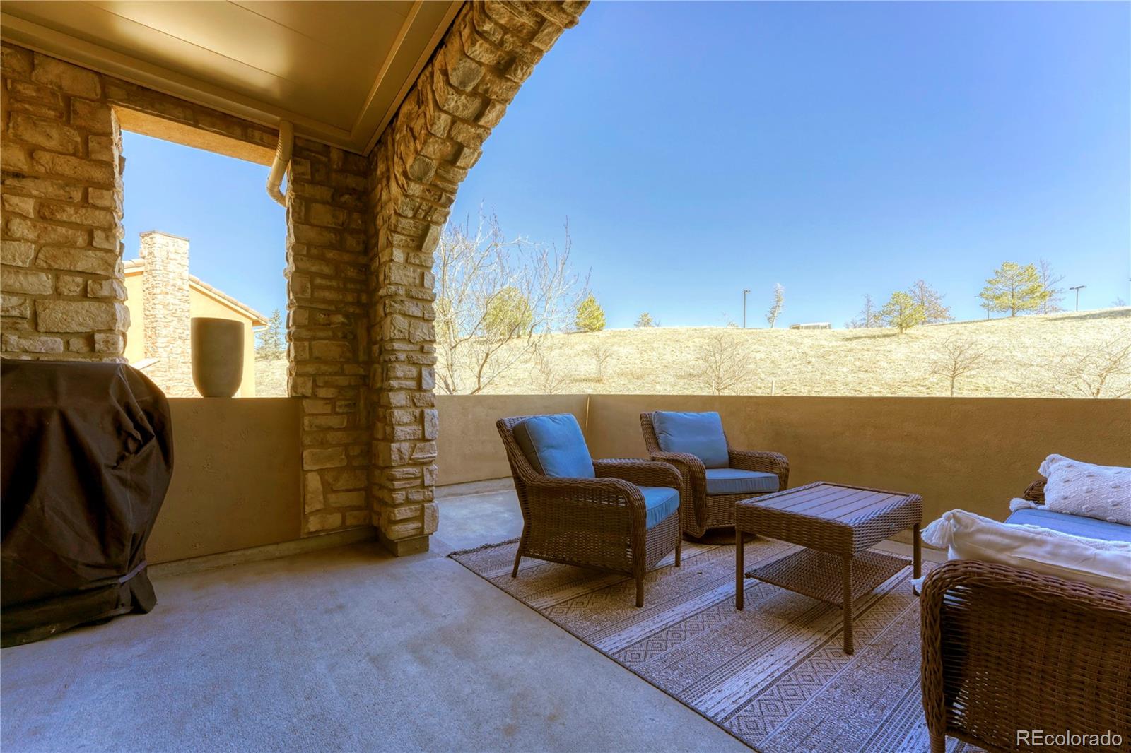 MLS Image #22 for 9274  viaggio way,highlands ranch, Colorado
