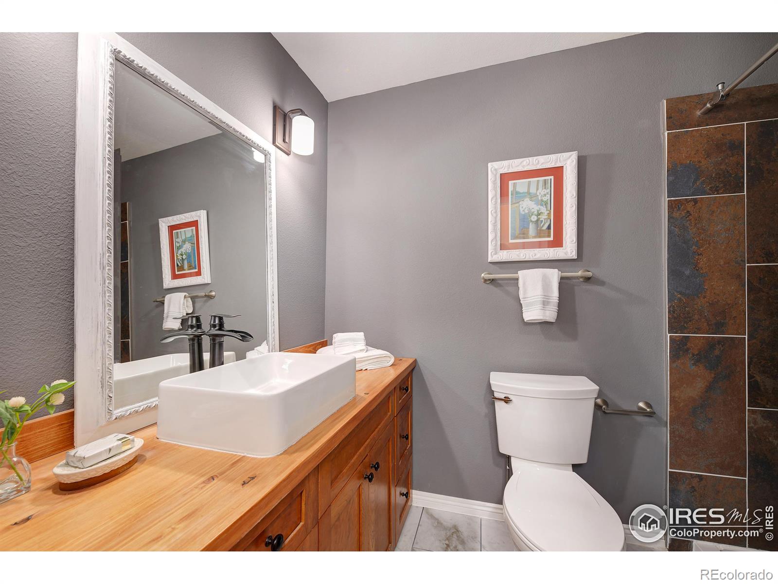 MLS Image #15 for 38  navajo court,lyons, Colorado