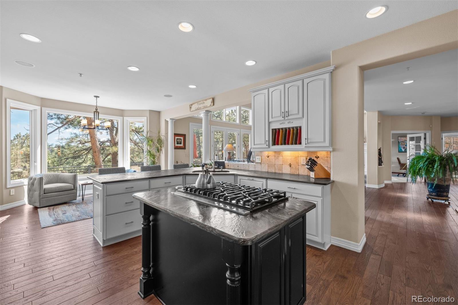 MLS Image #13 for 237  lead king drive,castle rock, Colorado