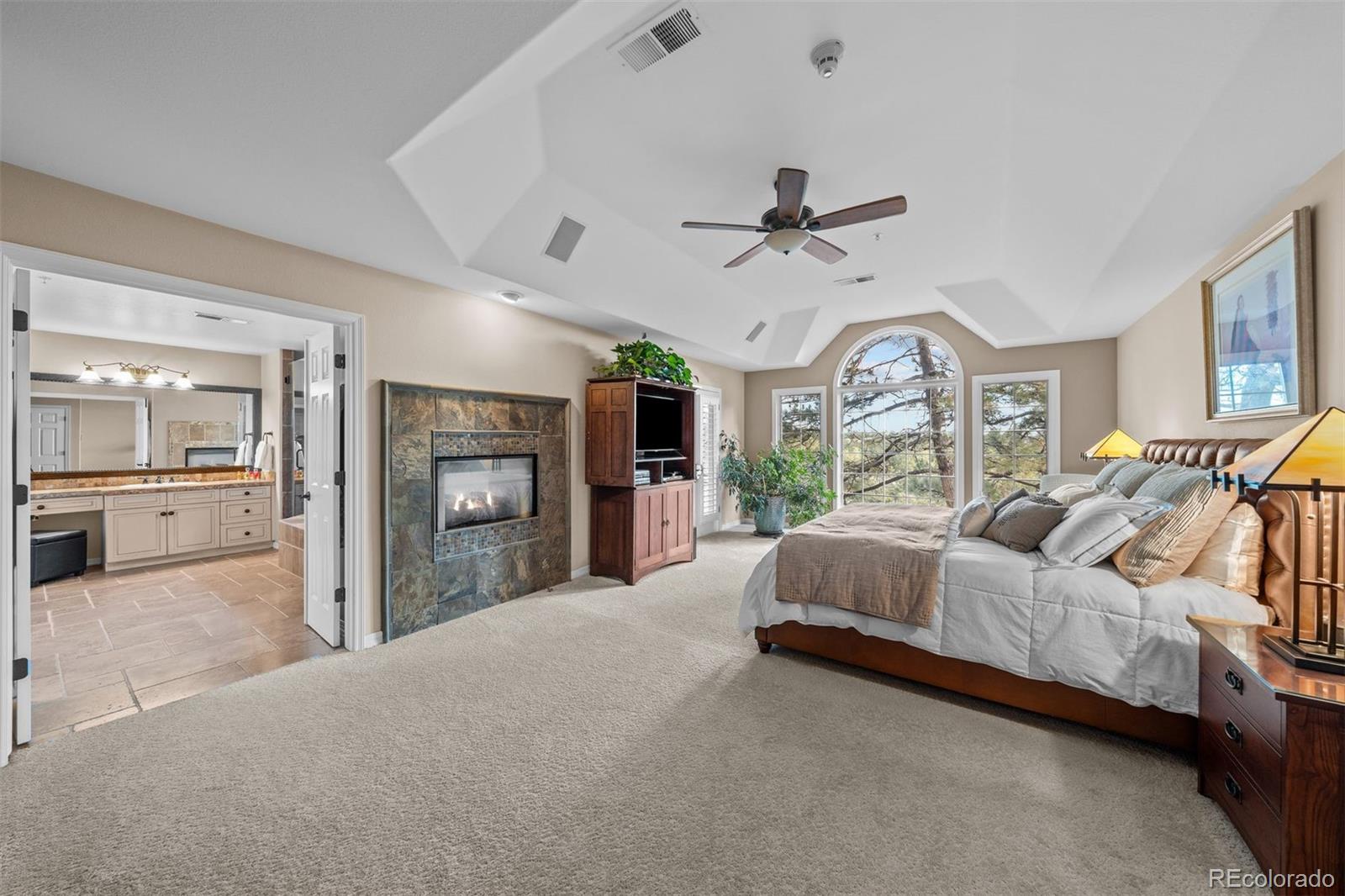 MLS Image #20 for 237  lead king drive,castle rock, Colorado