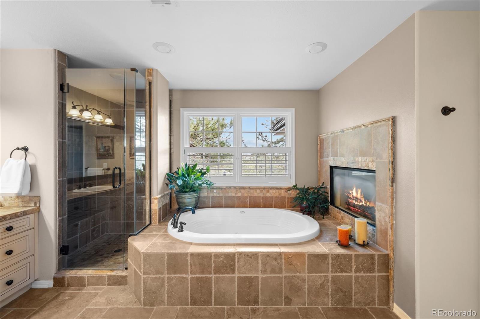 MLS Image #23 for 237  lead king drive,castle rock, Colorado