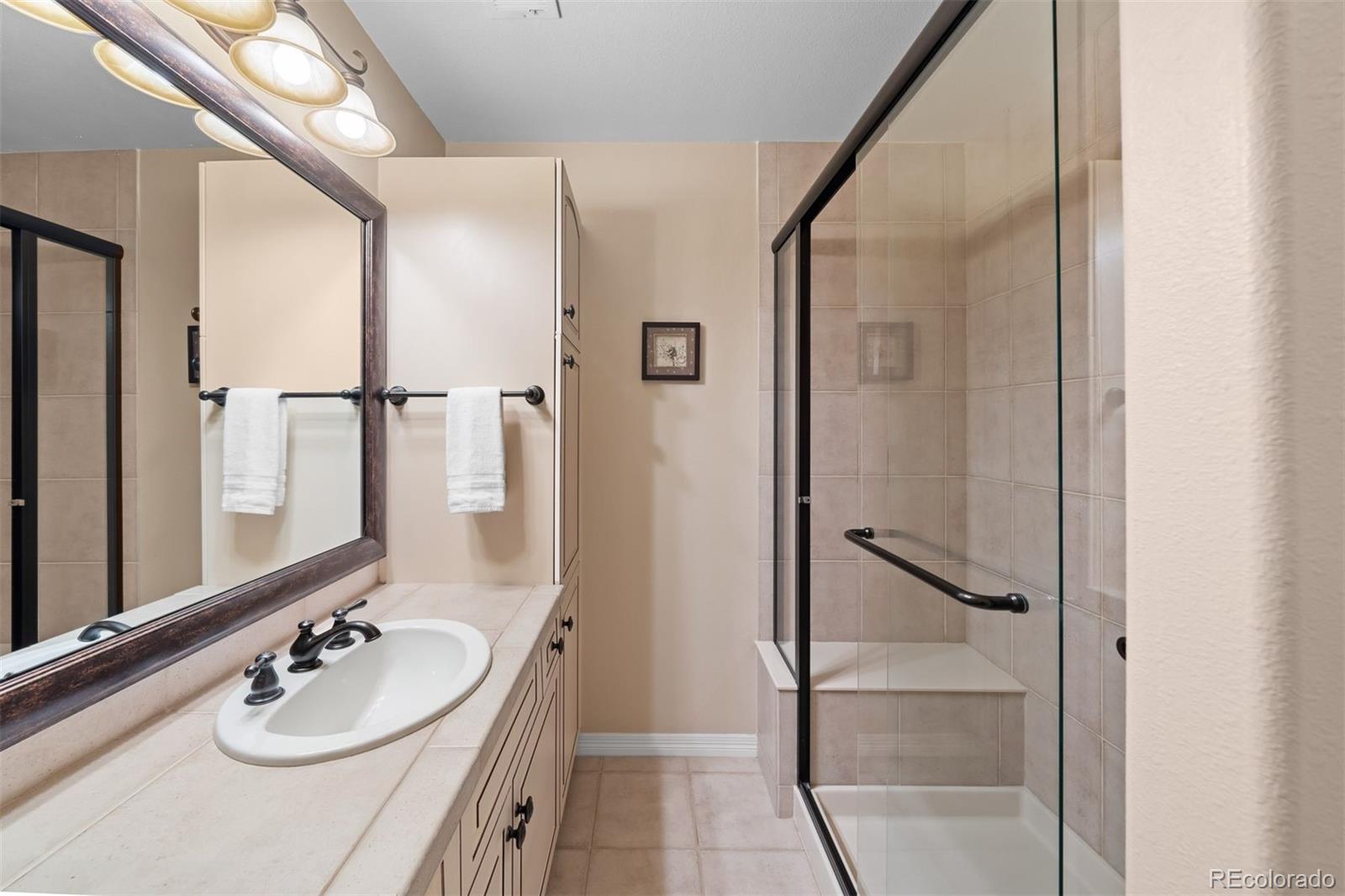 MLS Image #25 for 237  lead king drive,castle rock, Colorado