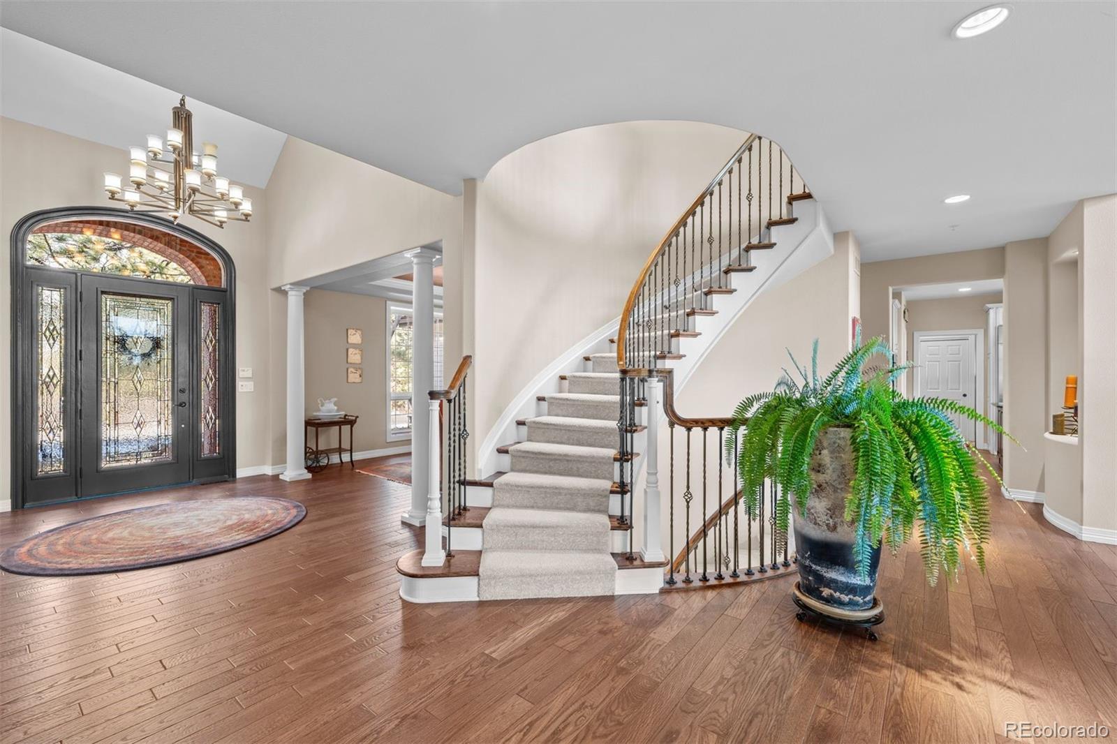 MLS Image #3 for 237  lead king drive,castle rock, Colorado