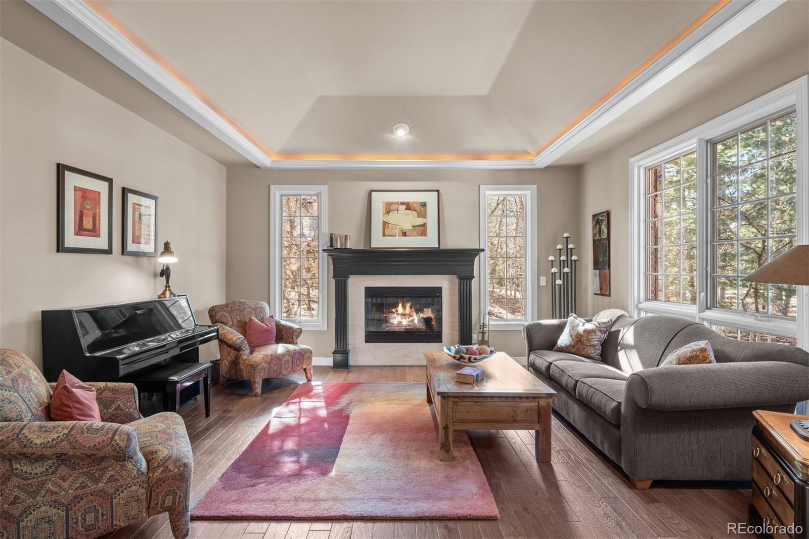 MLS Image #4 for 237  lead king drive,castle rock, Colorado