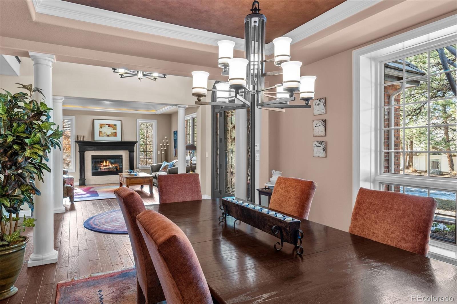 MLS Image #5 for 237  lead king drive,castle rock, Colorado
