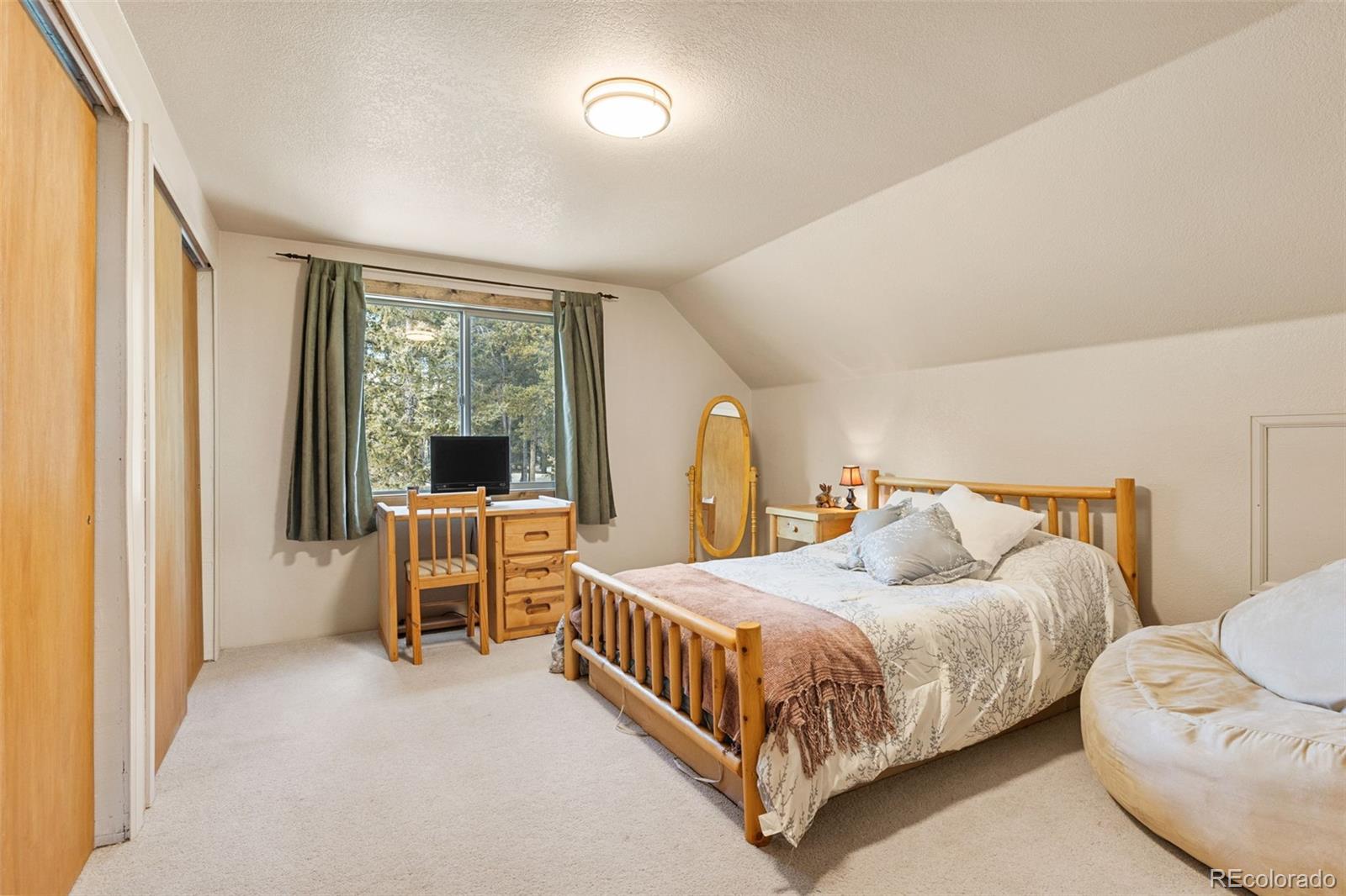 MLS Image #19 for 1606  bobcat lane,fairplay, Colorado