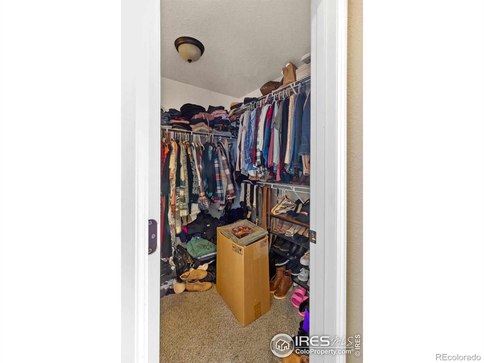 MLS Image #12 for 632  gore range drive,severance, Colorado
