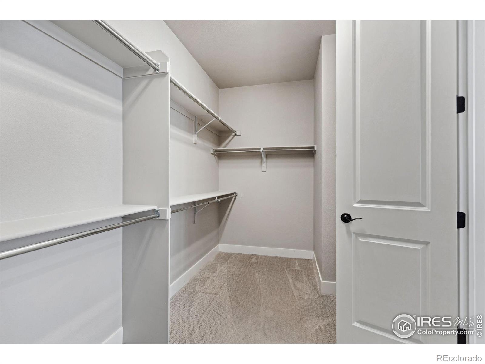 MLS Image #18 for 5945  sapling street,fort collins, Colorado