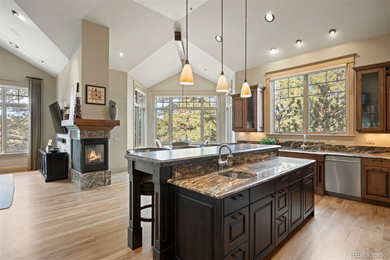 MLS Image #10 for 1105  northwood lane,castle rock, Colorado