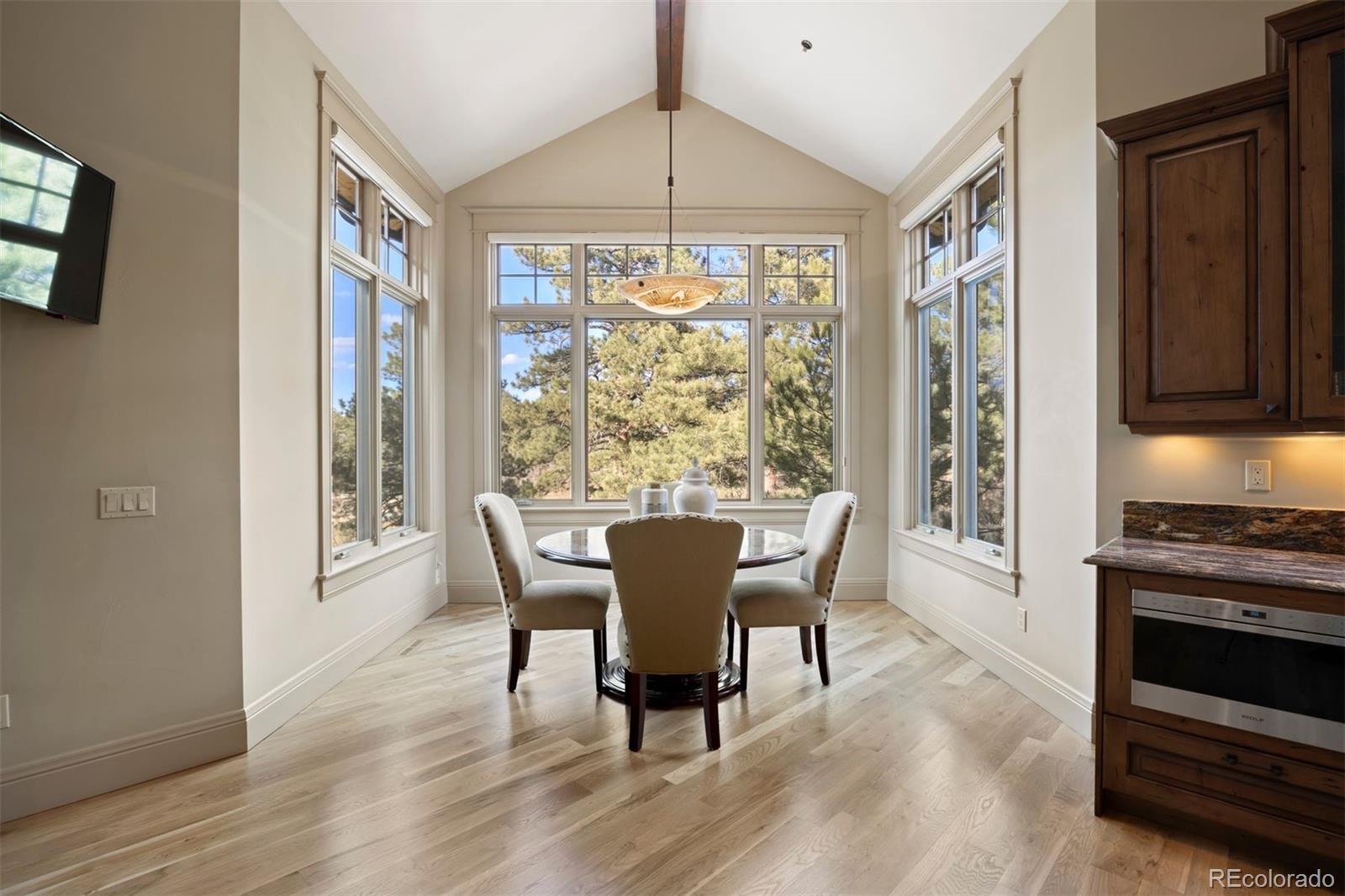 MLS Image #12 for 1105  northwood lane,castle rock, Colorado