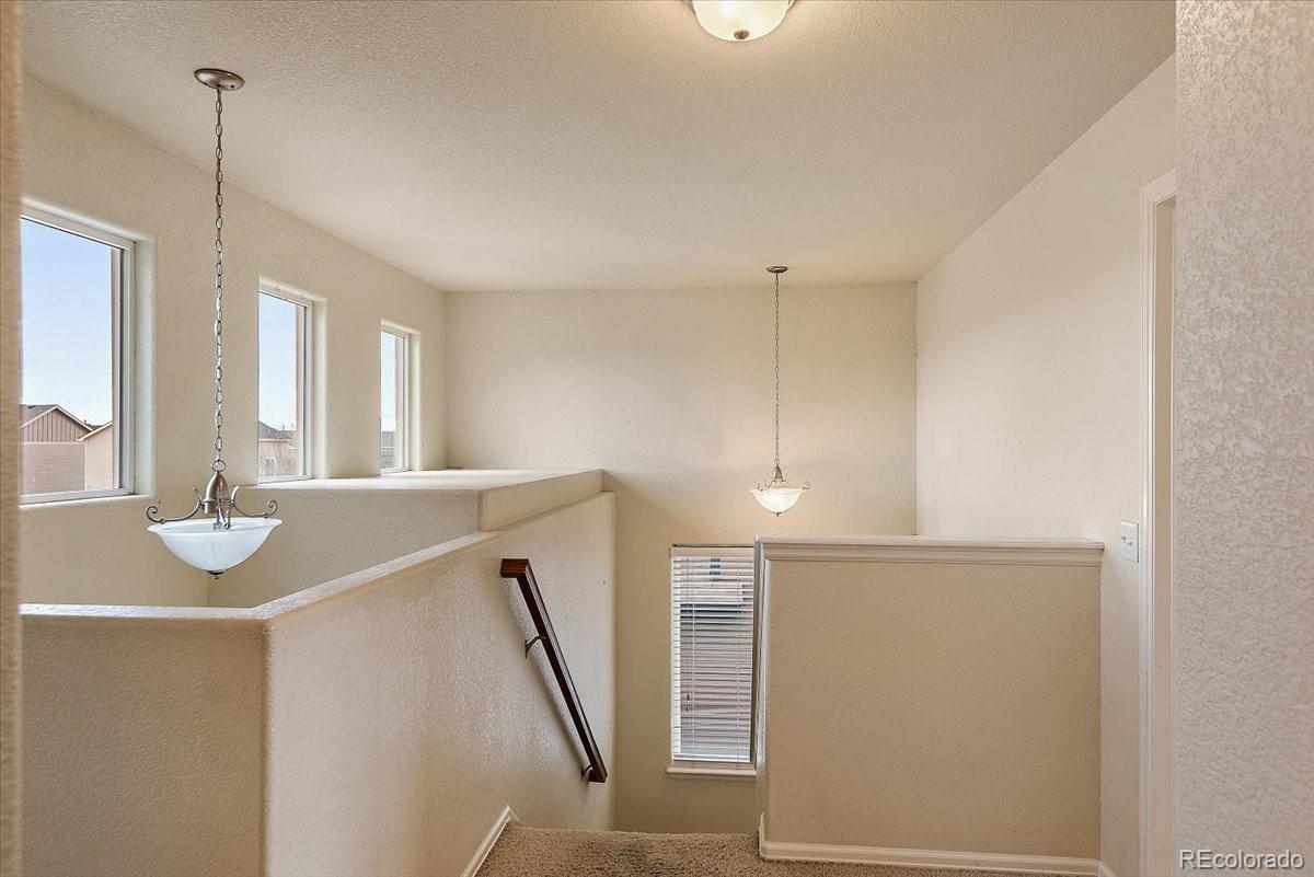MLS Image #10 for 10454  silver stirrup drive,colorado springs, Colorado