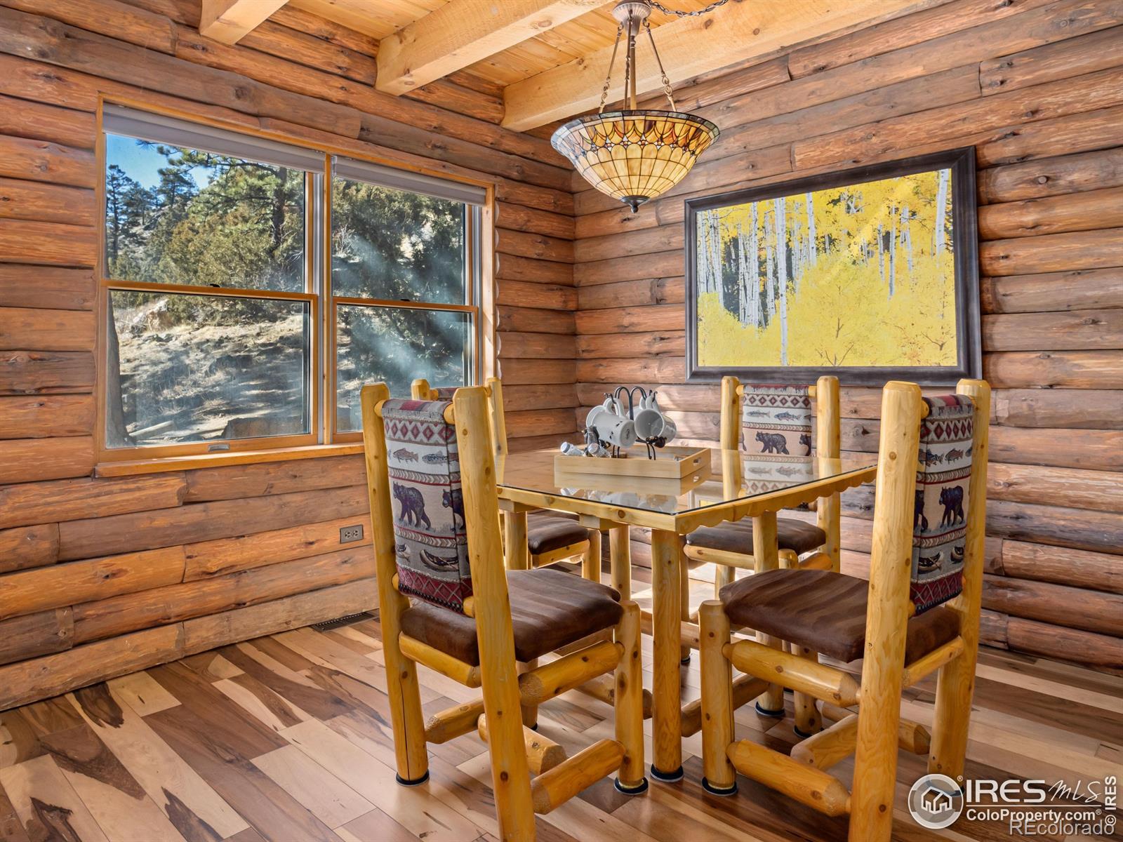 MLS Image #16 for 1540  prospect mountain drive,estes park, Colorado