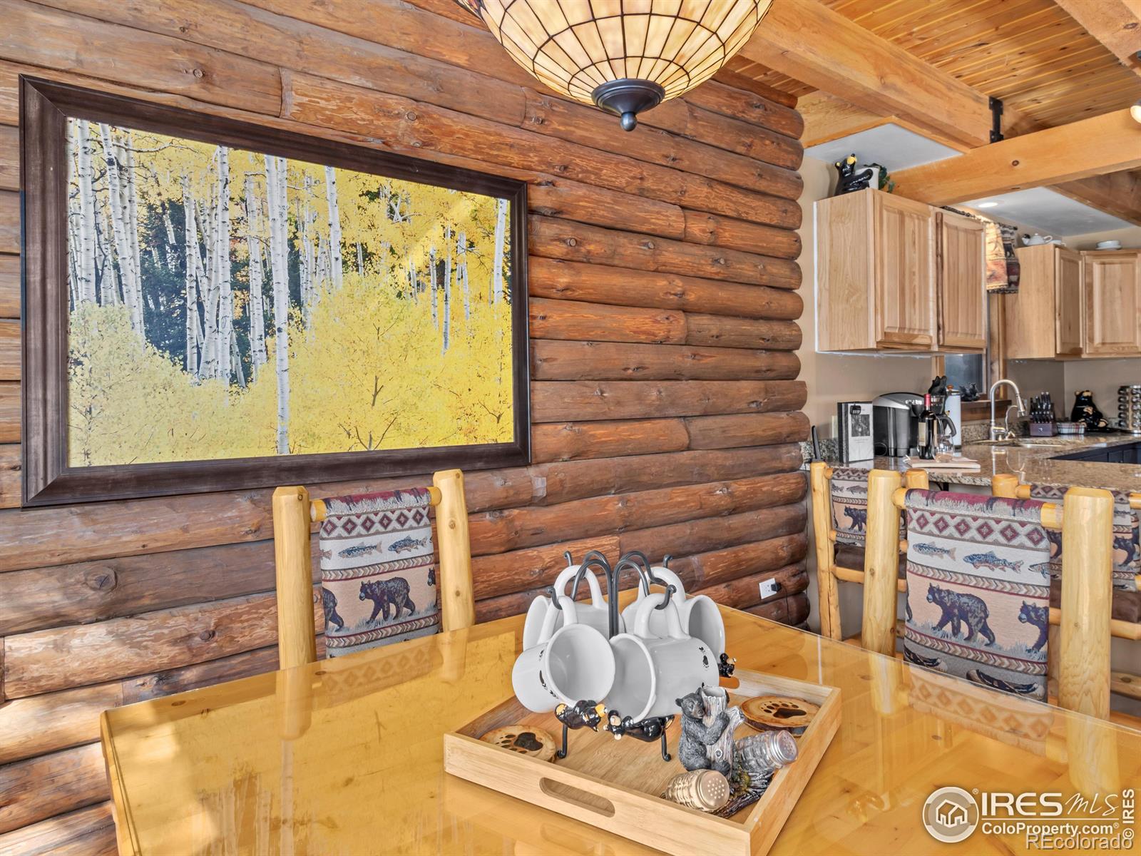 MLS Image #20 for 1540  prospect mountain drive,estes park, Colorado
