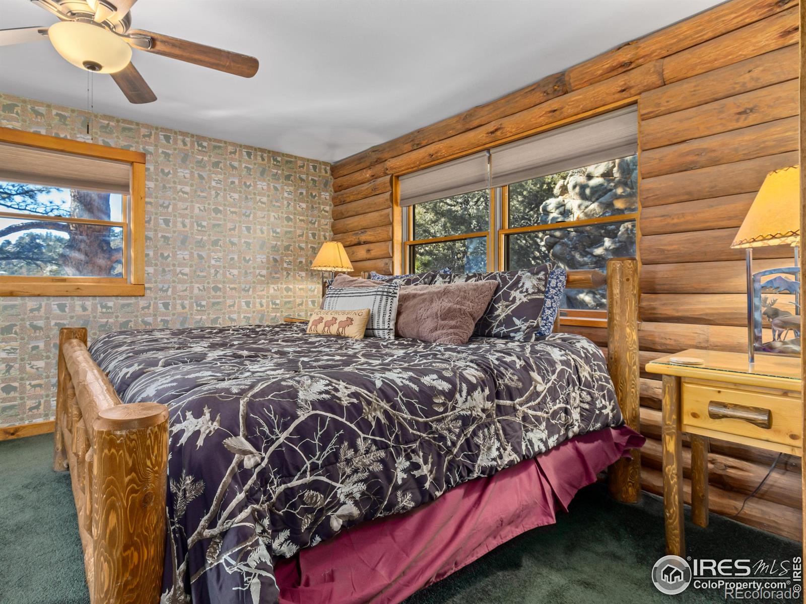 MLS Image #27 for 1540  prospect mountain drive,estes park, Colorado