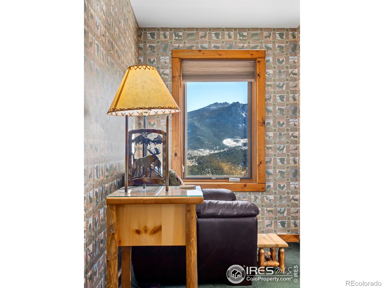 MLS Image #29 for 1540  prospect mountain drive,estes park, Colorado