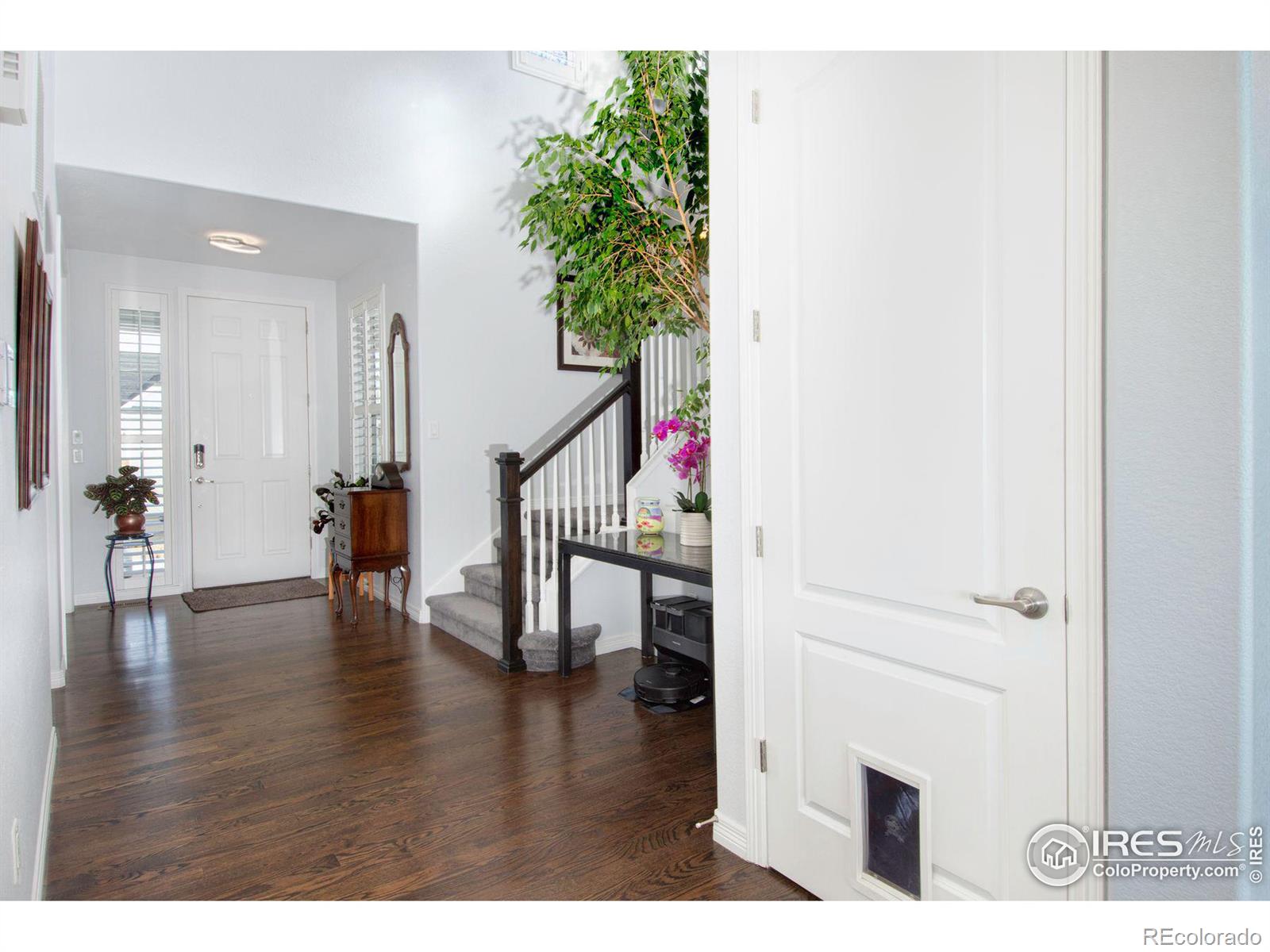 MLS Image #2 for 3385  birch road,longmont, Colorado