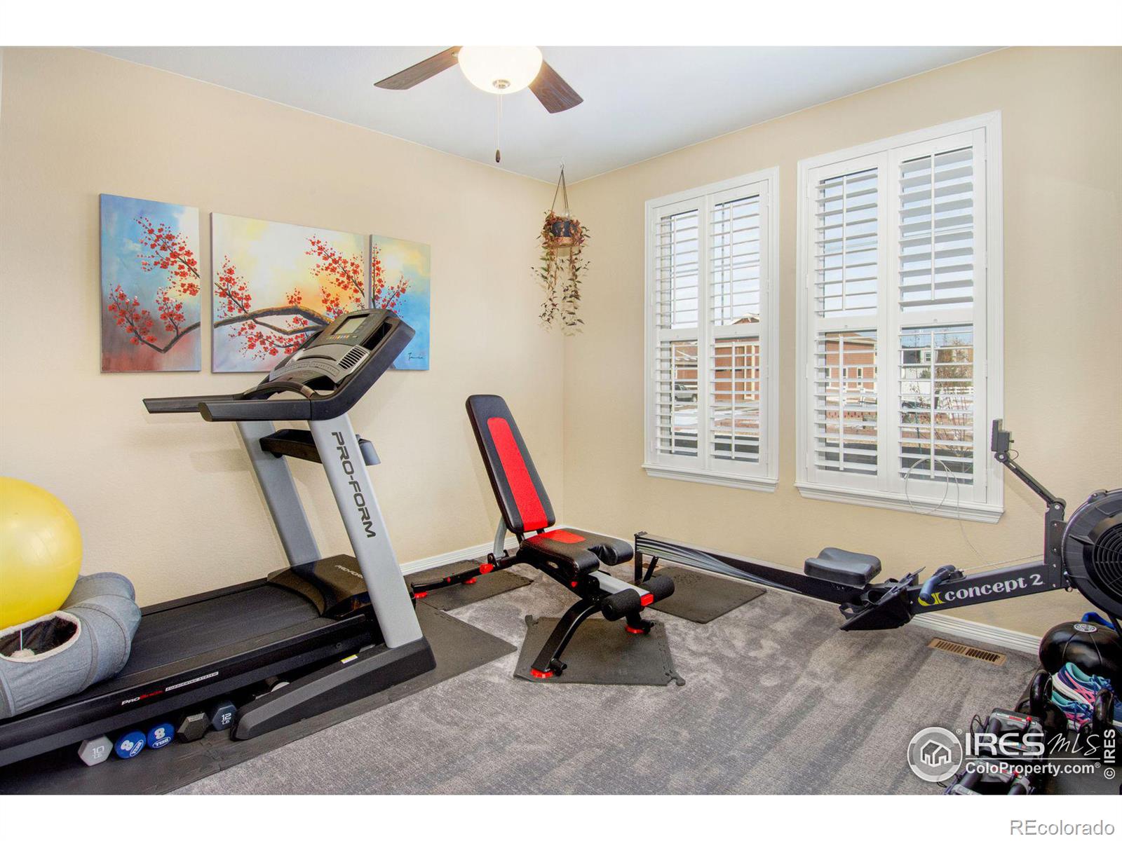 MLS Image #24 for 3385  birch road,longmont, Colorado