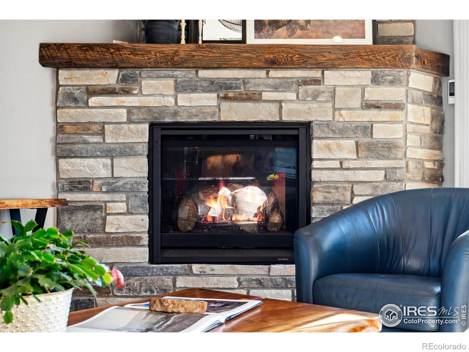 MLS Image #13 for 39738  hilltop circle,severance, Colorado