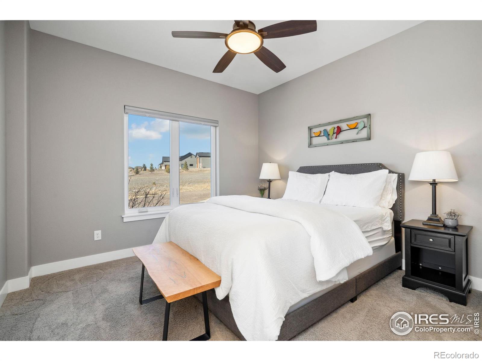 MLS Image #21 for 39738  hilltop circle,severance, Colorado